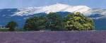 ventoux1-150-5.jpg