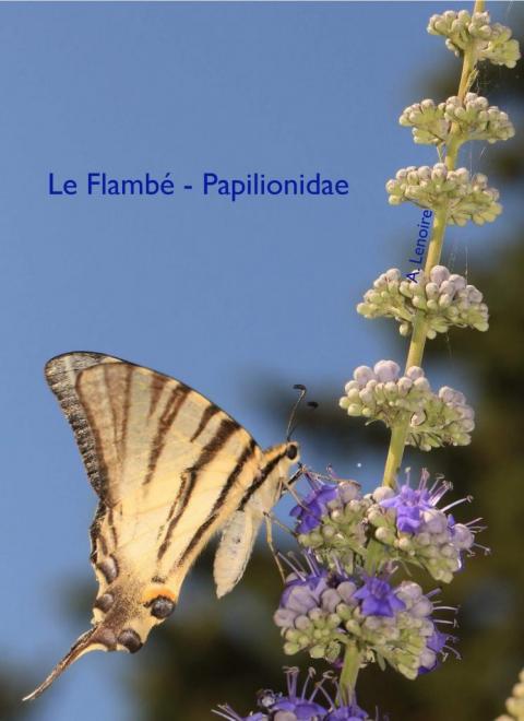 Flambe-1500