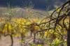 Images d'automne 2014