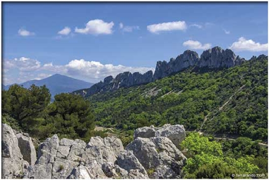 Dentelles de Montmirail