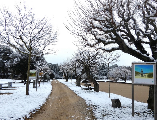 Domaine en hiver Domaine en hiver